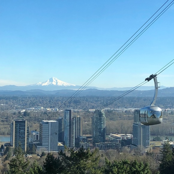 Meet your Posher, Steve - Picture 2 of 7